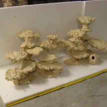IMG_7704 IMG_7704