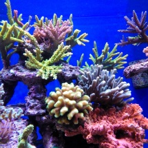 IMG_20150507_195317 IMG_20150507_195317