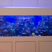 IMG_5130 IMG_5130