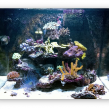 wp0f9c80f5_06 wp0f9c80f5_06