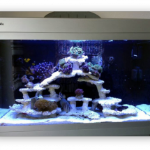 wp4982f8ee_06 wp4982f8ee_06