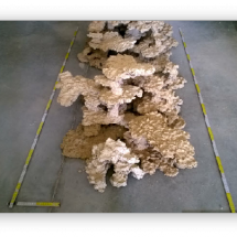 wp4fb1c939_06 wp4fb1c939_06