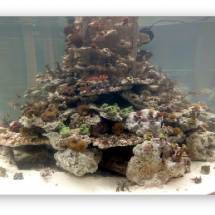 wp7604d37b_06 wp7604d37b_06