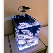 wp80bfbb70_06 wp80bfbb70_06