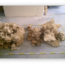 wpc4765586_06 wpc4765586_06