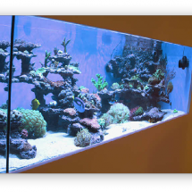wpdb04cb31_06 wpdb04cb31_06