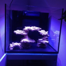 Reefer170_Thomas1 Reefer170_Thomas1