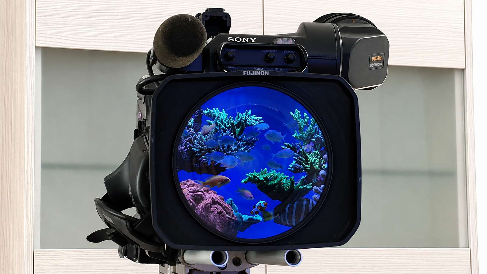 Fernsehaufnahmen eines Meerwasseraquariums mit RiffSystem