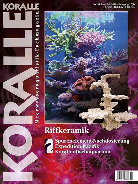 KORALLE · Nr. 99 – Titelthema Riffkeramik
