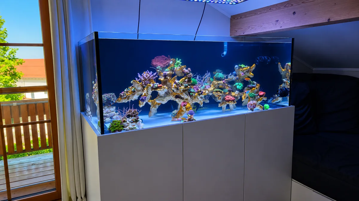 XL Reef – Keramikaufbau
