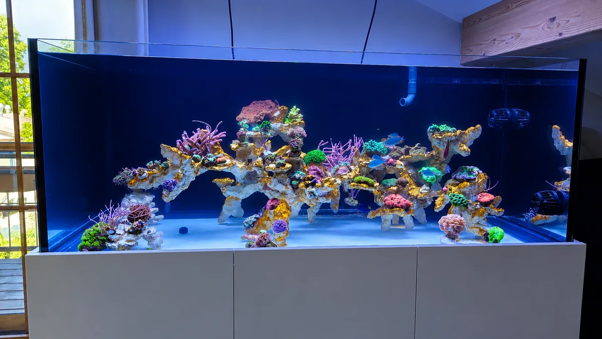 XL Reef – Fertiges Aquarium