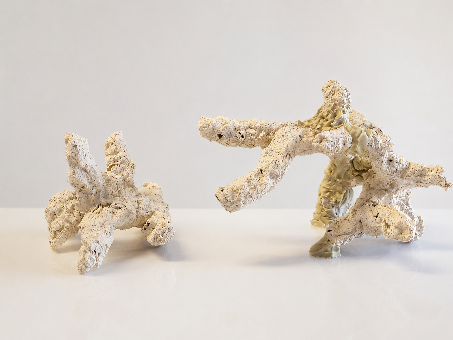 Micro Reef aus kleinen Riffästen