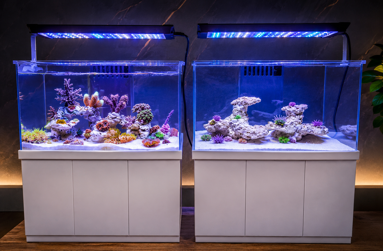 Nano Reef als fertiges Aquarium