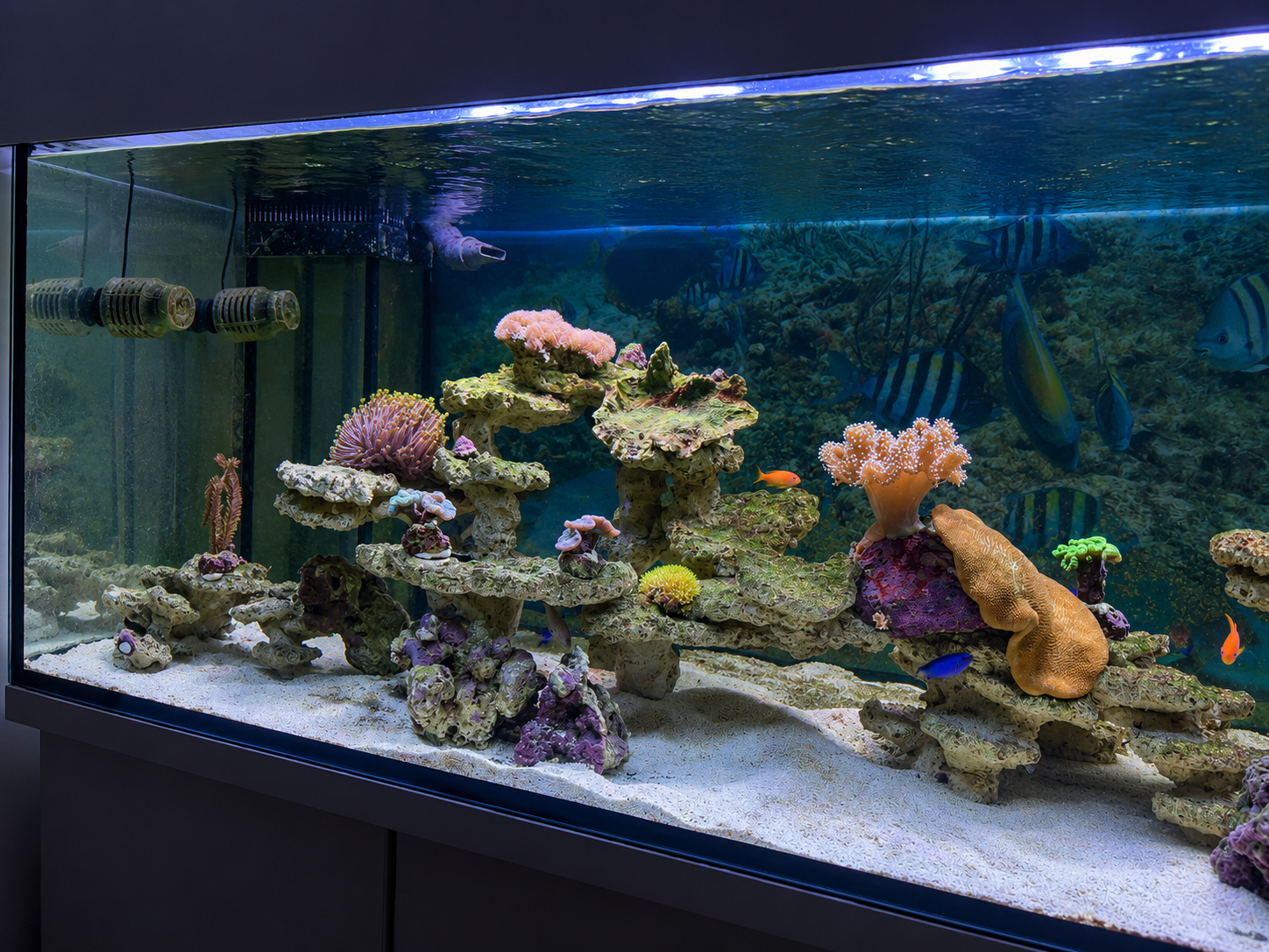 Entwicklung des Signature Reefs von Gudrun und Wilfried im Dezember 2024