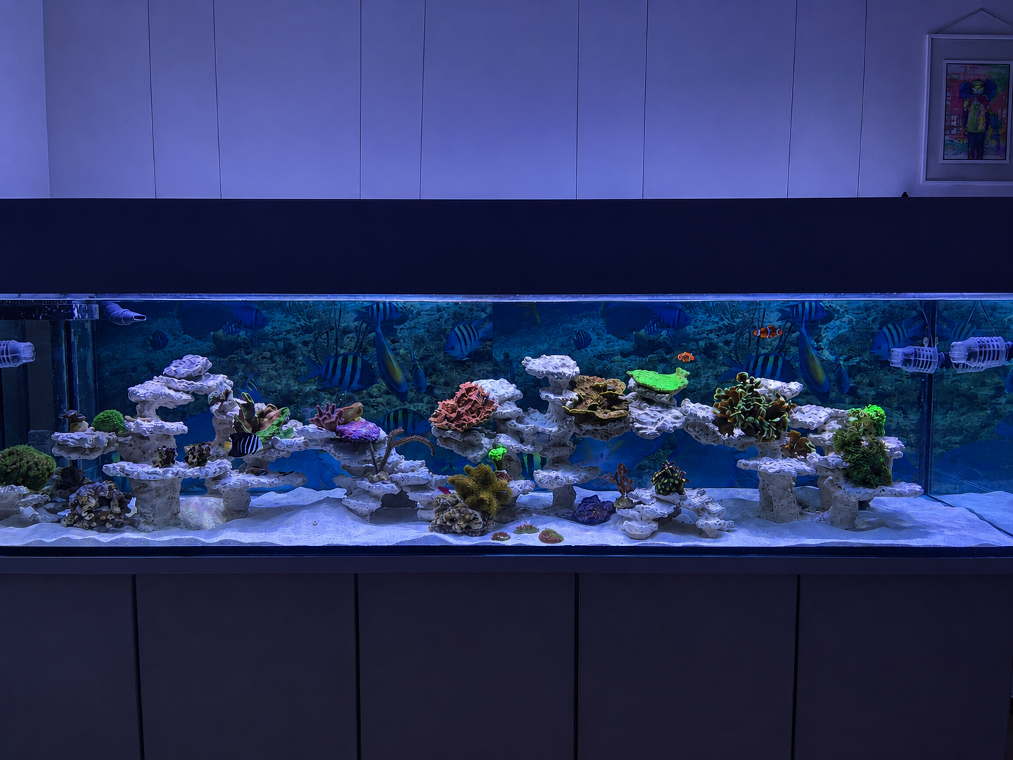 Gesamtansicht des Aquariums kurz nach dem Start