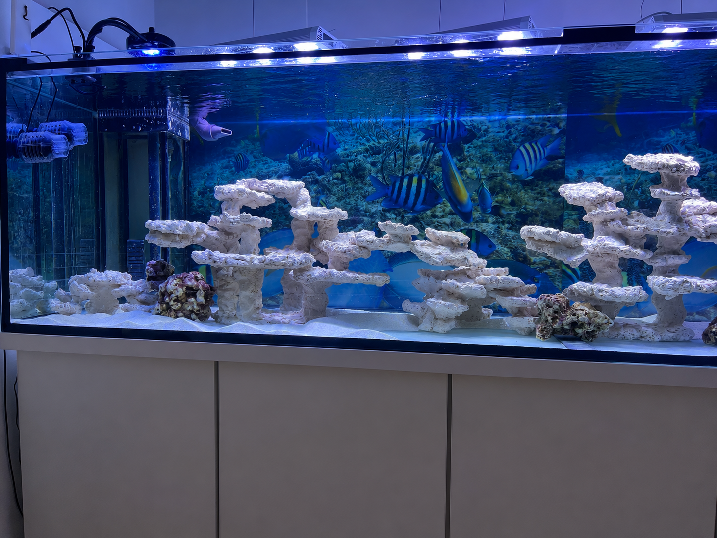 Aquarium von Gudrun und Wilfried kurz nach dem Start
