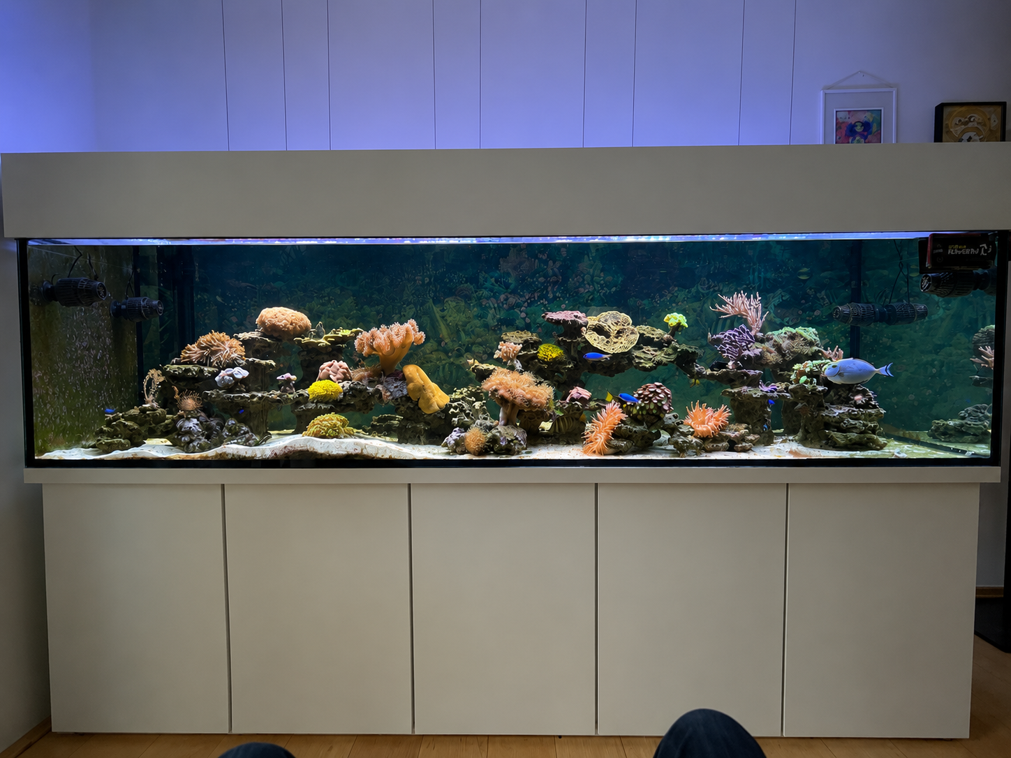 Entwickeltes Signature Reef von Gudrun und Wilfried