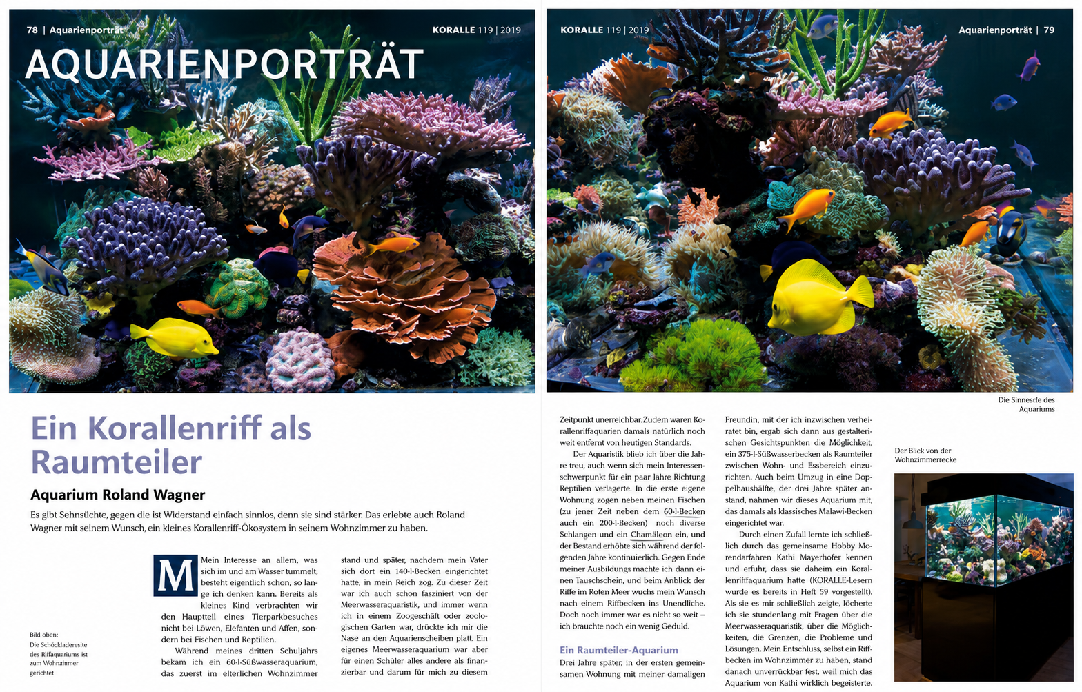 Aquarienporträt des Raumteilers in der Fachzeitschrift Koralle