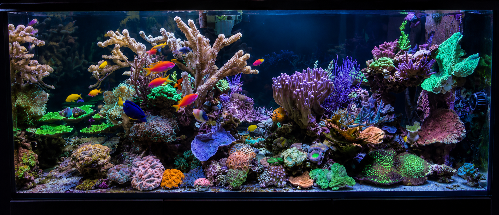 Raumteiler 175 × 75 × 70