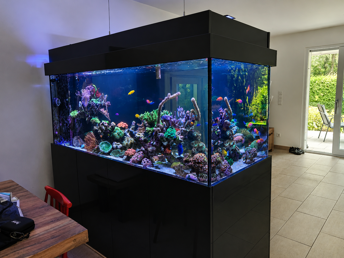 Frontansicht des Raumteiler Aquariums