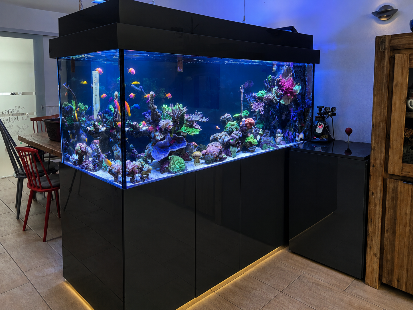 Weitere Seitenansicht des Raumteiler Aquariums