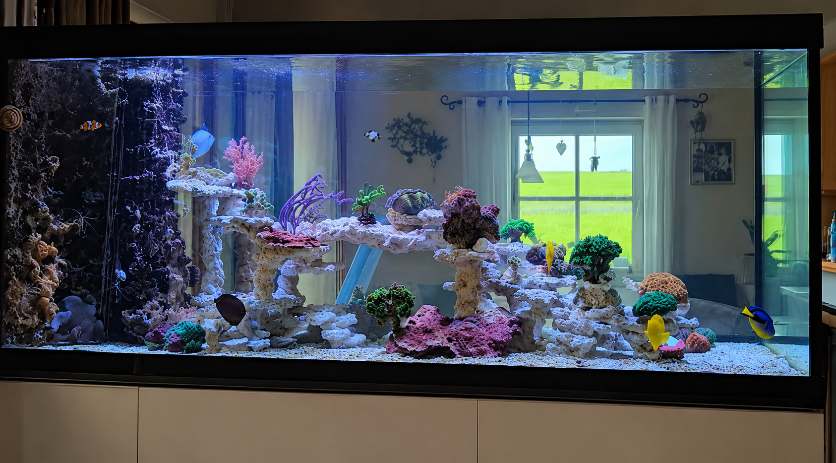 Seitenansicht des Aquariums nach der Riff-Sanierung