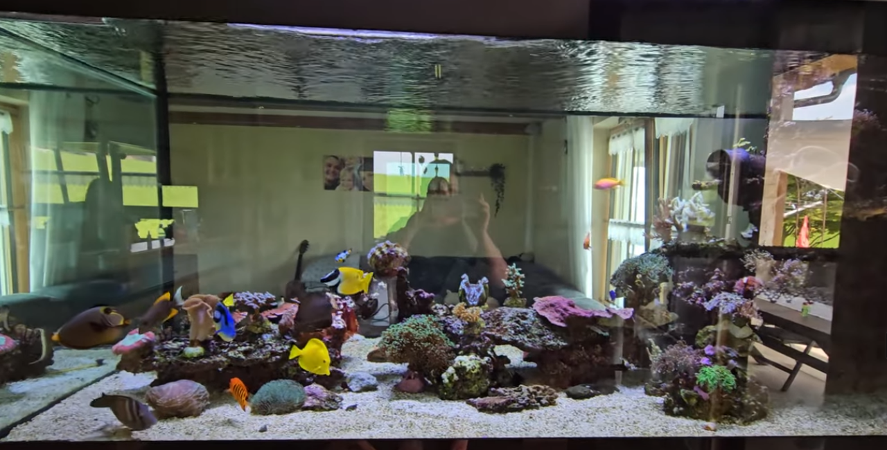 Meerwasseraquarium vor der Riff-Sanierung