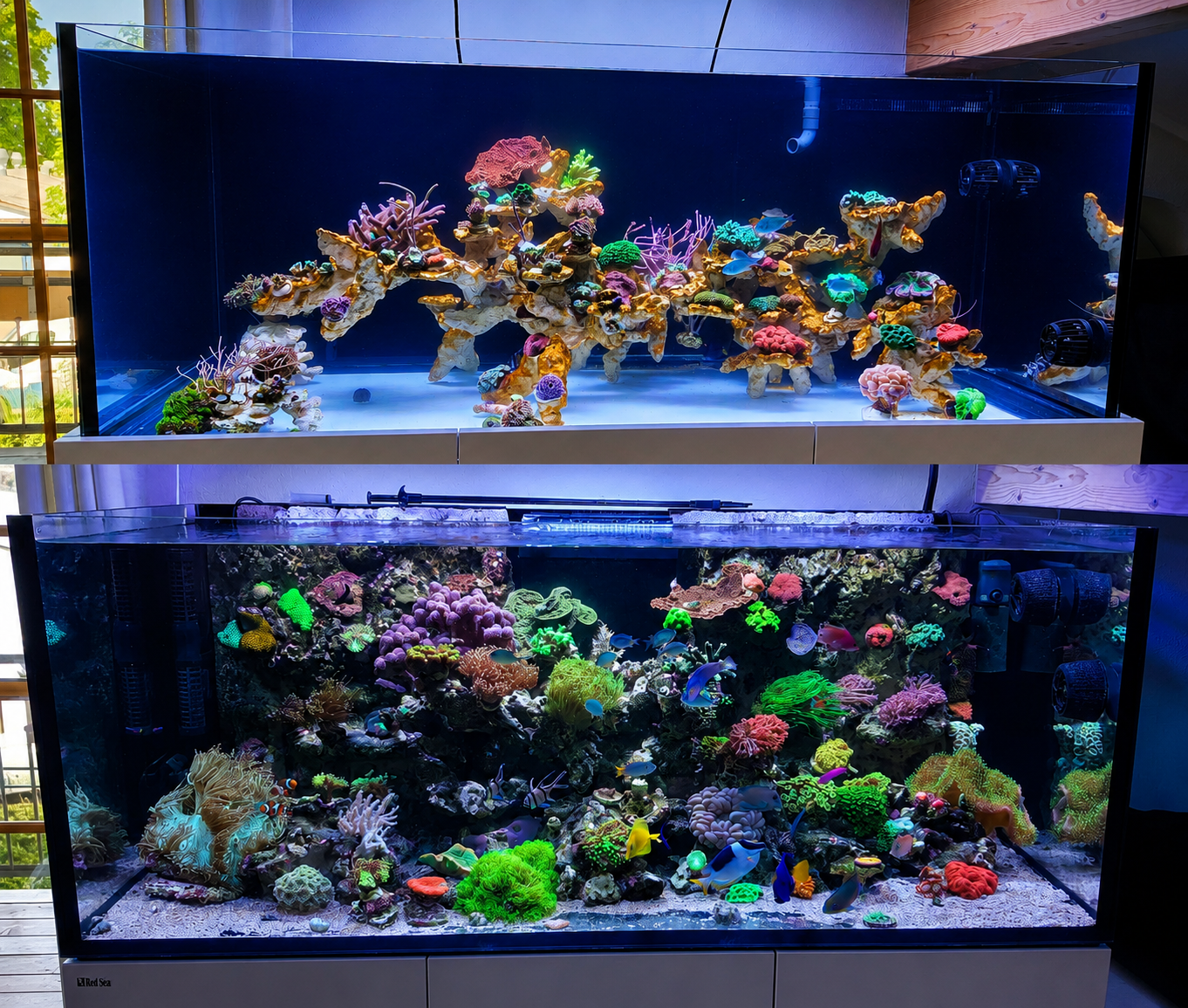 Vergleich des alten Lebendgestein-Aufbaus mit dem neuen Riffkeramik Design Reef