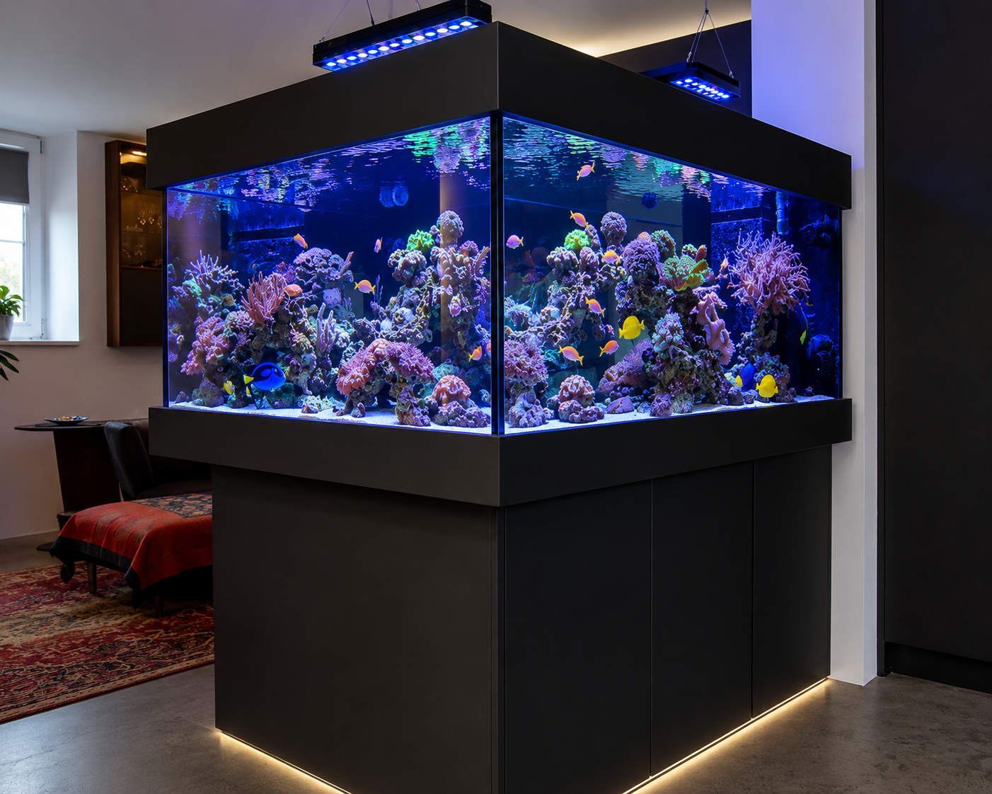 Frontansicht des fertig eingerichteten schwebenden Design Aquariums