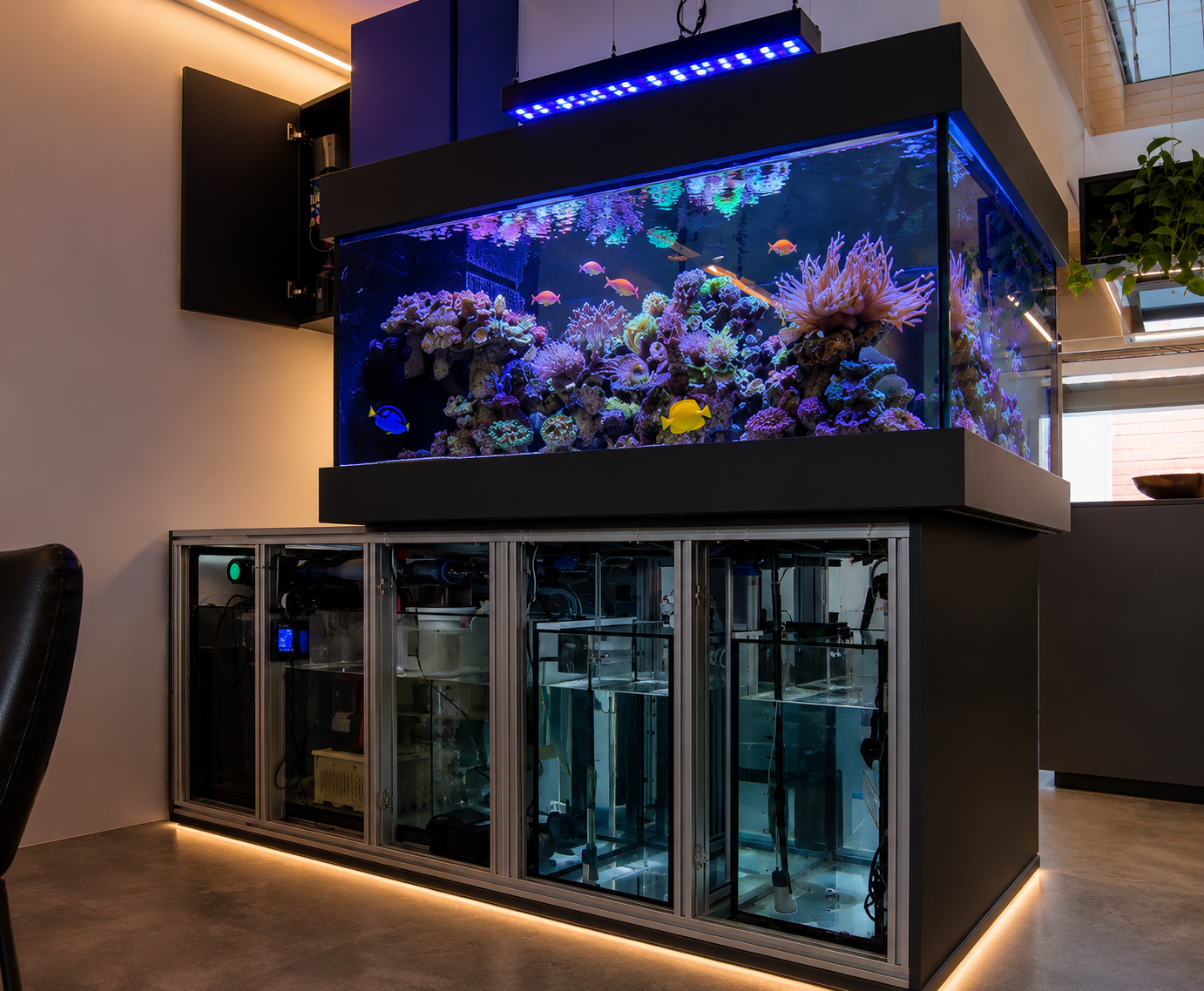 Offene Ansicht des fertig eingerichteten schwebenden Design Aquariums