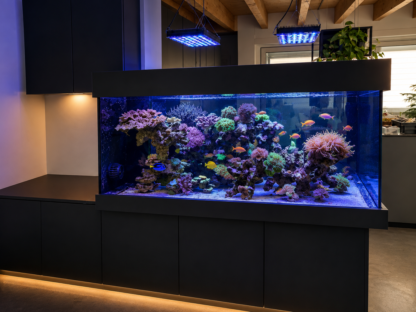 Seitenansicht des fertig eingerichteten schwebenden Design Aquariums